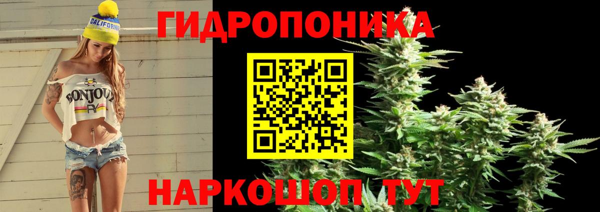 Лангепас  Марихуана сатива  Вход с VPN  Канабис VHQ  МАРИХУАНА Bruce Banner 